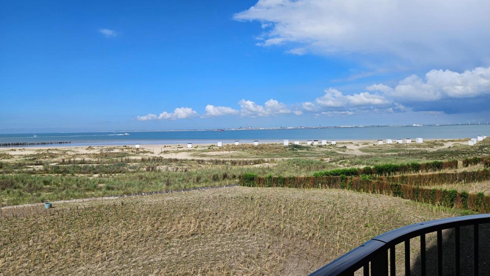 Pharos Residences Type Ocean,